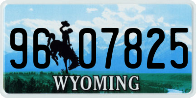 WY license plate 9607825