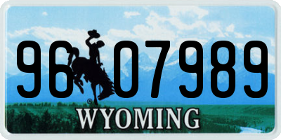 WY license plate 9607989