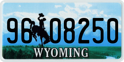WY license plate 9608250