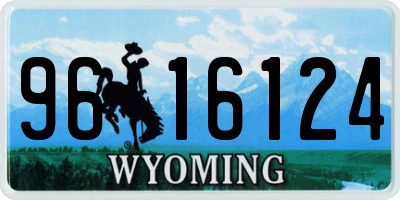 WY license plate 9616124