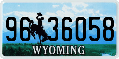 WY license plate 9636058
