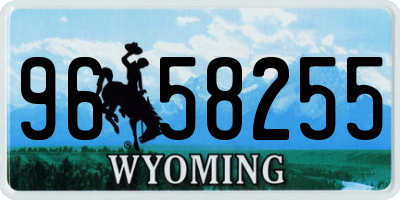 WY license plate 9658255