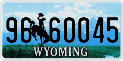 WY license plate 9660045