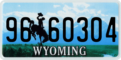 WY license plate 9660304