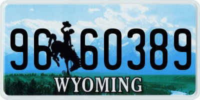 WY license plate 9660389