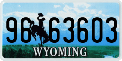 WY license plate 9663603