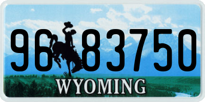 WY license plate 9683750