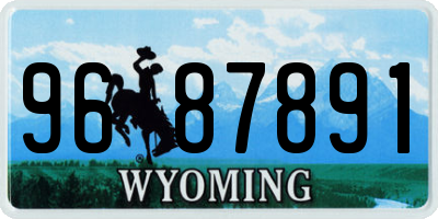 WY license plate 9687891