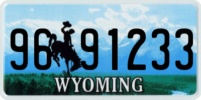 WY license plate 9691233