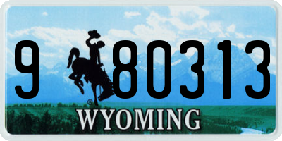 WY license plate 980313