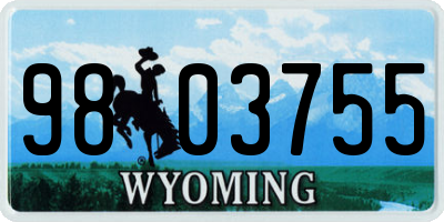 WY license plate 9803755