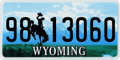 WY license plate 9813060