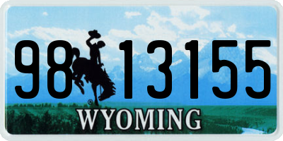 WY license plate 9813155
