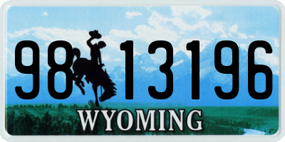 WY license plate 9813196