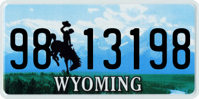 WY license plate 9813198