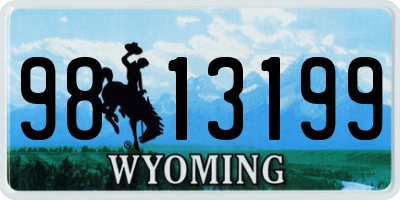 WY license plate 9813199