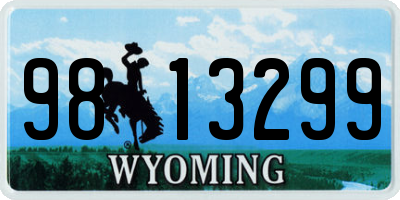 WY license plate 9813299