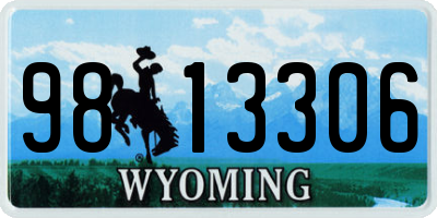 WY license plate 9813306