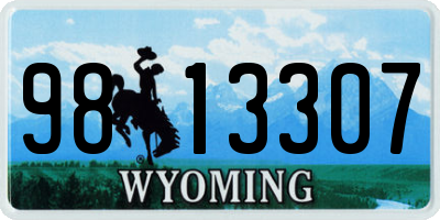 WY license plate 9813307