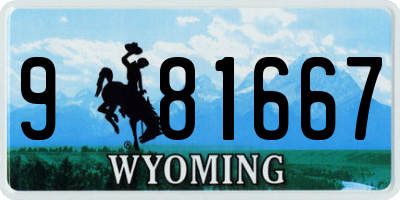 WY license plate 981667