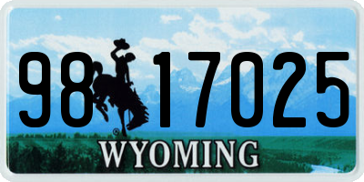 WY license plate 9817025