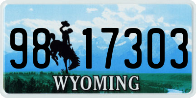 WY license plate 9817303