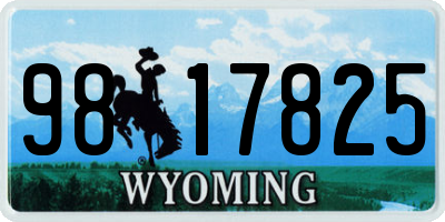 WY license plate 9817825