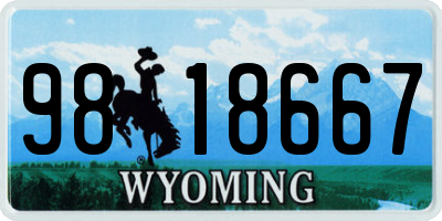 WY license plate 9818667