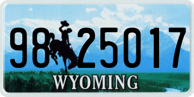 WY license plate 9825017