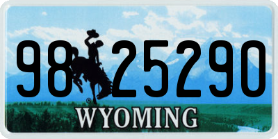 WY license plate 9825290