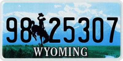 WY license plate 9825307