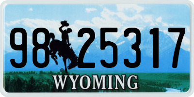 WY license plate 9825317