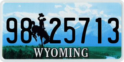WY license plate 9825713