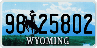 WY license plate 9825802