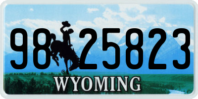 WY license plate 9825823