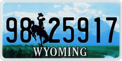 WY license plate 9825917