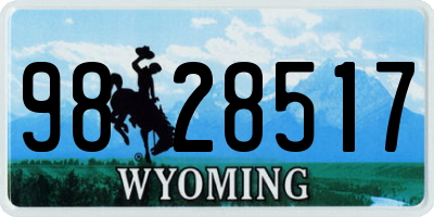 WY license plate 9828517