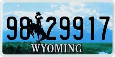 WY license plate 9829917