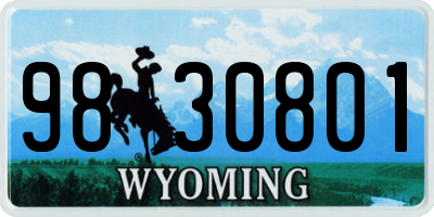WY license plate 9830801