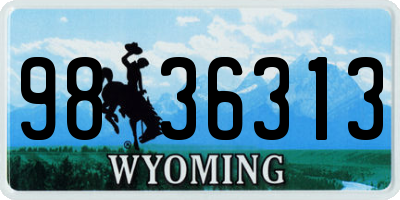 WY license plate 9836313