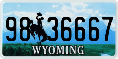 WY license plate 9836667