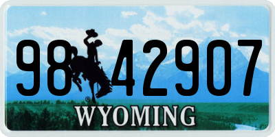 WY license plate 9842907