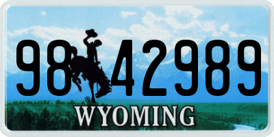 WY license plate 9842989
