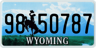 WY license plate 9850787