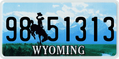 WY license plate 9851313
