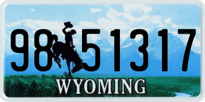 WY license plate 9851317