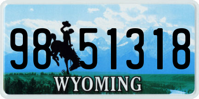 WY license plate 9851318