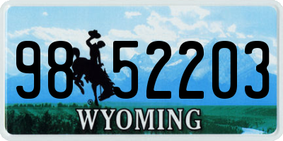 WY license plate 9852203