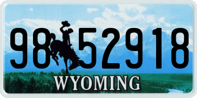 WY license plate 9852918