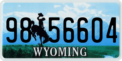 WY license plate 9856604